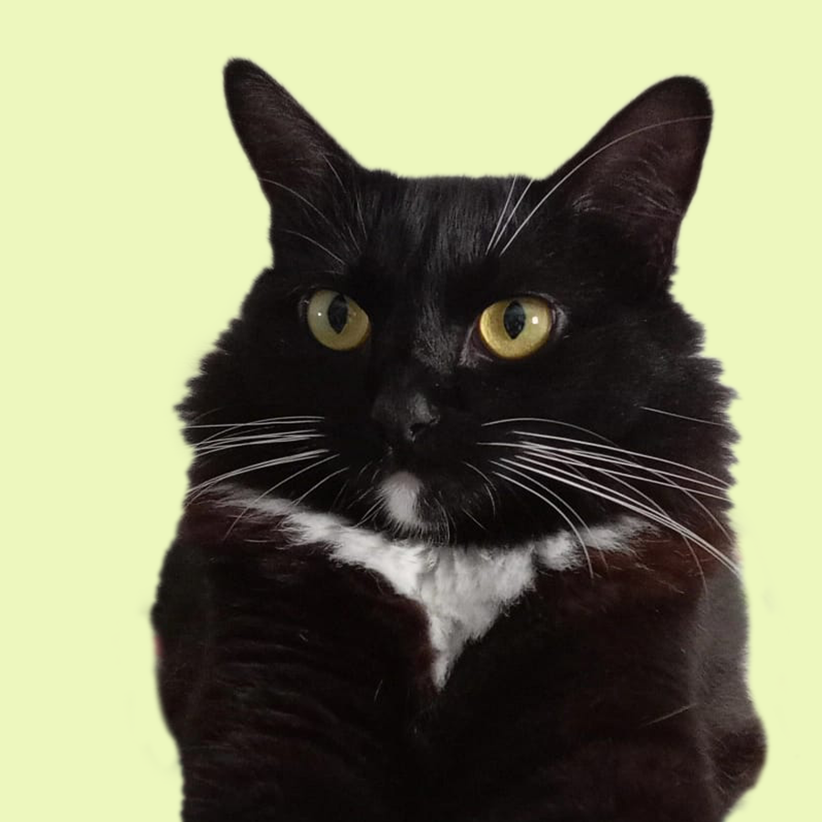 gatoana2